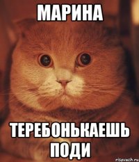 Марина теребонькаешь поди