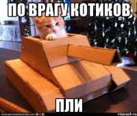 По врагу котиков ПЛИ