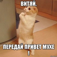 витяй, передай привет мухе !