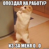 Опоздал на работу? Из-за меня О_о