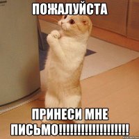 Пожалуйста Принеси мне письмо!!!!!!!!!!!!!!!!!!!