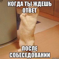 КОГДА ТЫ ЖДЕШЬ ОТВЕТ ПОСЛЕ СОБЕСЕДОВАНИИ