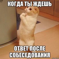 КОГДА ТЫ ЖДЕШЬ ОТВЕТ ПОСЛЕ СОБЕСЕДОВАНИЯ