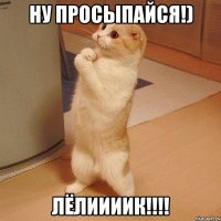 Ну просыпайся!) Лёлиииик!!!!