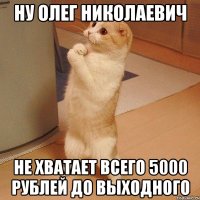 Ну Олег Николаевич Не хватает всего 5000 рублей до выходного