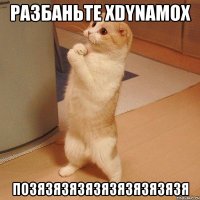 Разбаньте XDynamoX Позязязязязязязязязязя