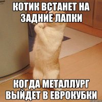 Котик встанет на задние лапки Когда Металлург выйдет в еврокубки