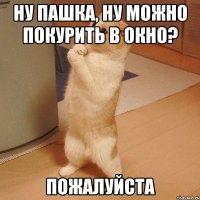 ну пашка, ну можно покурить в окно? пожалуйста