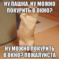 ну пашка, ну можно покурить в окно? ну можно покурить в окно? пожалуйста