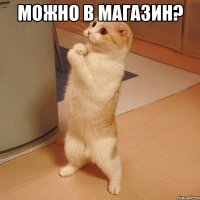 МОЖНО В МАГАЗИН? 