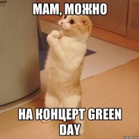 мам, можно на концерт green day