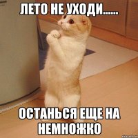 Лето не уходи...... Останься еще на немножко