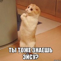  Ты тоже знаешь Эйсу?