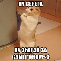 Ну серега Ну збегай за самогоном<3