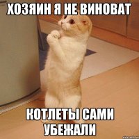 хозяин я не виноват котлеты сами убежали