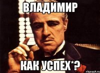 Владимир как успех*?