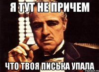 Я тут не причем Что твоя писька упала