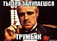 ТЫ ЗРЯ ЗАЛУПАЕШСЯ ТРУМБИК