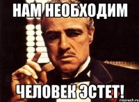 Нам необходим человек эстет!