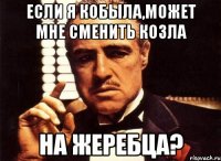 ЕСЛИ Я КОБЫЛА,МОЖЕТ МНЕ СМЕНИТЬ КОЗЛА НА ЖЕРЕБЦА?