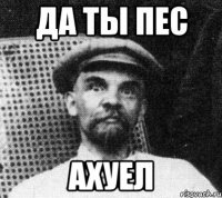 Да ты пес ахуел