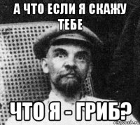 А что если я скажу тебе что я - гриб?