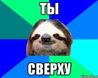 ты сверху