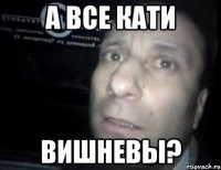 А ВСЕ КАТИ ВИШНЕВЫ?