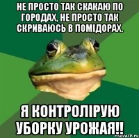 Не просто так скакаю по городах, не просто так скриваюсь в помідорах. Я контролірую уборку урожая!!