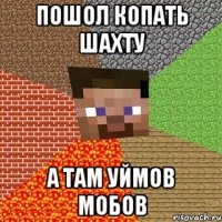 пошол копать шахту а там уймов мобов