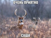 очень приятно Саша