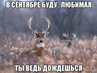 В сентябре буду , любимая Ты ведь дождешься