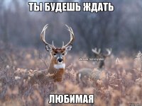 Ты будешь ждать Любимая