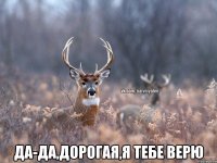  да-да,дорогая,я тебе верю