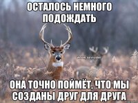 Осталось немного подождать Она точно поймёт, что мы созданы друг для друга