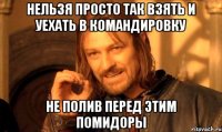 Нельзя просто так взять и уехать в командировку Не полив перед этим помидоры