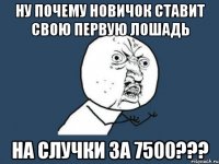 Ну почему новичок ставит свою первую лошадь на случки за 7500???