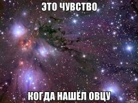 Это чувство когда нашёл овцу