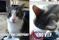 V.I.P. Принёс мне завтрак? Это божественно Спс V.I.P.