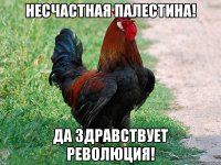 Несчастная Палестина! Да здравствует революция!