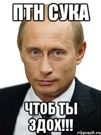 птн сука чтоб ты здох!!!