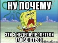 Ну почему эти 3 недели пролетели так быстро((