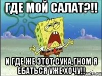 ГДЕ МОЙ САЛАТ?!! И где же этот сука,гном я ебаться уже хочу!!