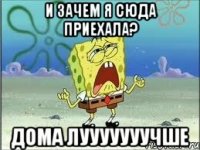 и зачем я сюда приехала? дома лууууууучше