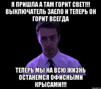 я пришла а там ГОРИТ СВЕТ!!! Выключатель заело и теперь он горит всегда теперь мы на всю жизнь останемся офисными крысами!!!