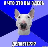 А ЧТО ЭТО ВЫ ЗДЕСЬ ДЕЛАЕТЕ???