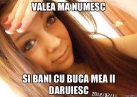 Valea ma numesc Si bani cu buca mea ii daruiesc