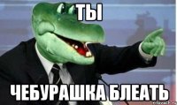 ты чебурашка блеать