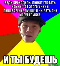 Ведь Крокодилы любят глотать камни – от этого у них и пищеварение лучше, и нырять они могут глубже. и ты будешь