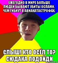 Ежегодно в мире больше людей бывают убиты ослами, чем гибнут в авиакатастрофах. Слыш! Кто осёл то? сюдака подойди